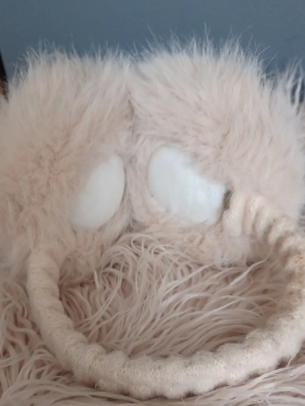 Earmuffs